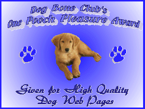 DBC One Pooch Pleasure Award